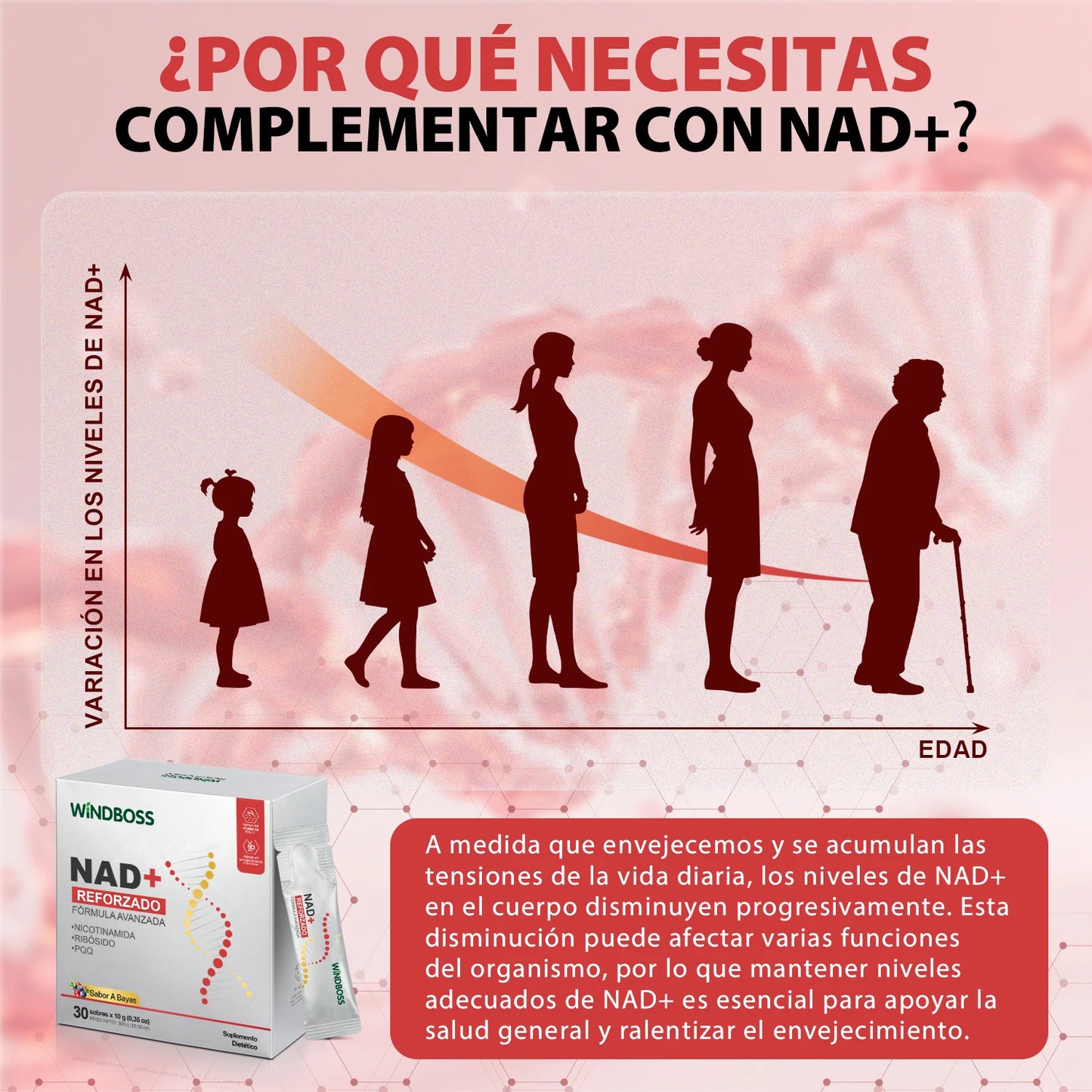 Windboss NAD+ Suplemento Líquido